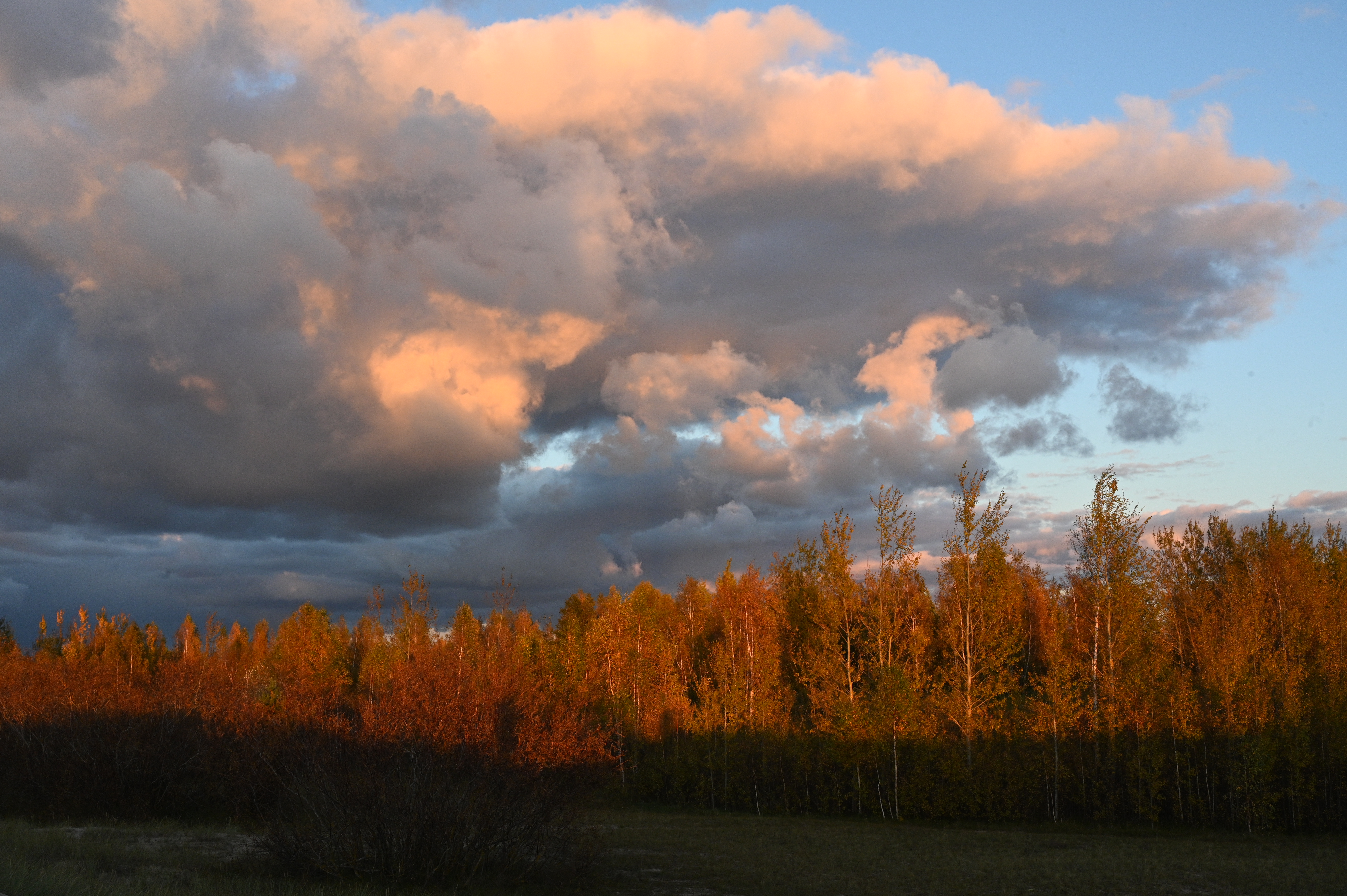 2025/10/18 - walk/DSC_0402.JPG